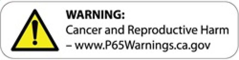 Corsa Dodge Challenger 08-10 R/T 5.7L V8 Air Intake - Corvette Realm
