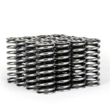 Load image into Gallery viewer, Skunk2 Alpha Series Honda D Series VTEC Valve Spring Set - Corvette Realm