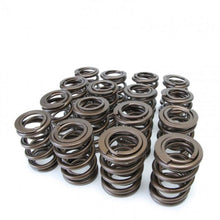 Load image into Gallery viewer, Skunk2 Tuner Series Honda/Acura (H22A/F20B) DOHC VTEC Alpha Valve Spring Set (Dual Springs) - Corvette Realm