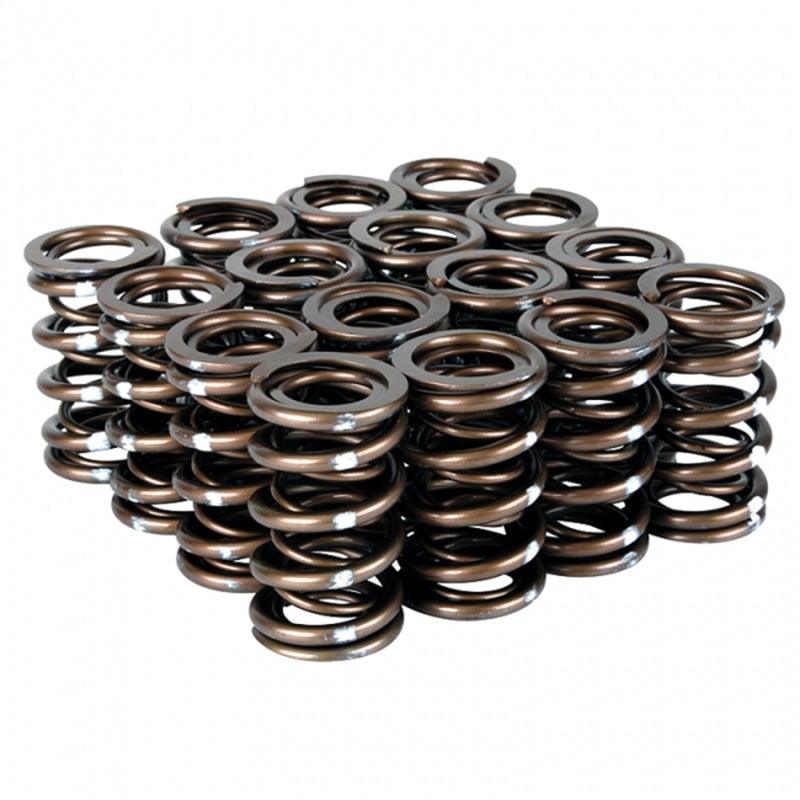 Skunk2 Pro Series Honda/Acura K-Series i-VTEC XP Valve Spring Set (Dual Springs) - Corvette Realm