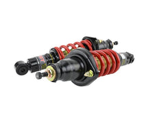 Load image into Gallery viewer, Skunk2 01-05 Honda Civic / 01-05 Acura Integra Pro-ST Coilovers (Front 10 kg/mm - Rear 10 kg/mm) - Corvette Realm