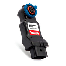 Load image into Gallery viewer, Photo - Primary