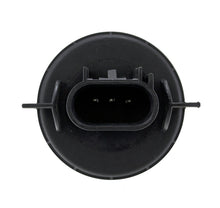 Load image into Gallery viewer, Photo - Close Up