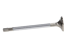 Load image into Gallery viewer, Manley Ford GT350 Voodoo 5.2L Race Master Series Intake Valve Set - 1.508in