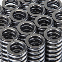 Load image into Gallery viewer, Skunk2 Alpha Series Honda D Series VTEC Valve Spring Set - Corvette Realm
