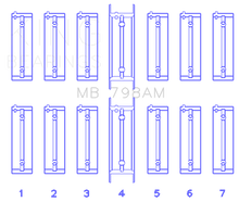 Load image into Gallery viewer, Photo - Primary