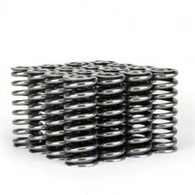 Load image into Gallery viewer, Skunk2 Alpha Series Honda D Series VTEC Valve Spring Set - Corvette Realm