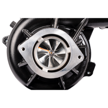 Load image into Gallery viewer, User 1