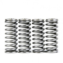 Load image into Gallery viewer, Skunk2 Alpha Series Honda/Acura D Series Valve Spring and Titanium Retainer Kit - Corvette Realm