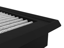 Load image into Gallery viewer, Photo - Close Up