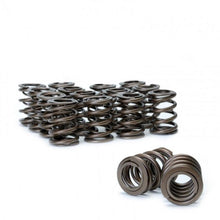 Load image into Gallery viewer, Skunk2 Tuner Series Honda/Acura (H22A/F20B) DOHC VTEC Alpha Valve Spring Set (Dual Springs) - Corvette Realm