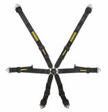 Schroth Harness, Profi 2x2, 6 Point, Camlock, SFI 16.1, Pull Down Adjust, Wrap Around, Individual Harness, HANS Ready, Black, Kit