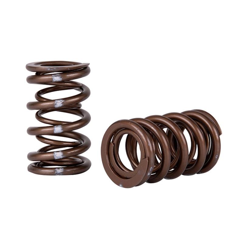 Skunk2 Pro Series Honda/Acura K-Series i-VTEC XP Valve Spring Set (Dual Springs) - Corvette Realm