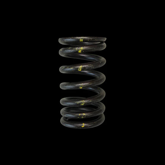 Brian Crower Toyota 1NZ-FE Valve Springs