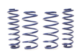 H&R 19-25 Toyota RAV4 (not Incl. Hybrid) Adventure Raising Spring