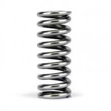 Load image into Gallery viewer, Skunk2 Alpha Series Honda D Series VTEC Valve Spring Set - Corvette Realm