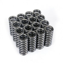 Load image into Gallery viewer, Skunk2 Alpha Series Honda D Series VTEC Valve Spring Set - Corvette Realm