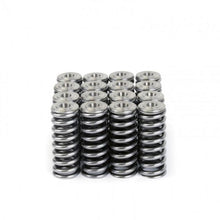 Load image into Gallery viewer, Skunk2 Alpha Series Honda/Acura D Series Valve Spring and Titanium Retainer Kit - Corvette Realm