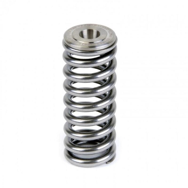 Skunk2 Alpha Series Honda/Acura D Series Valve Spring and Titanium Retainer Kit - Corvette Realm