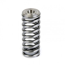 Load image into Gallery viewer, Skunk2 Alpha Series Honda/Acura D Series Valve Spring and Titanium Retainer Kit - Corvette Realm