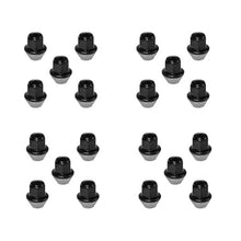 Load image into Gallery viewer, Ford Racing 15-18 Mustang Black Lug Nut Kit (20 Lug Nuts)