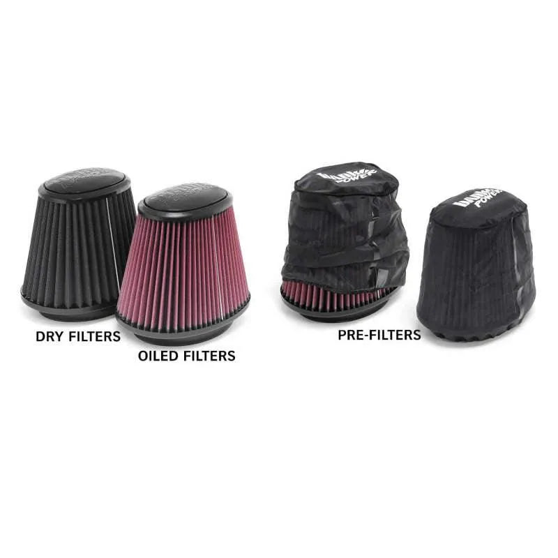 Banks Power 94-02 Dodge 5.9L Ram-Air Intake System - Dry Filter - Corvette Realm