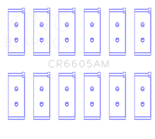 Load image into Gallery viewer, Photo - Primary