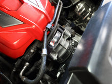 Load image into Gallery viewer, Photo - Mounted