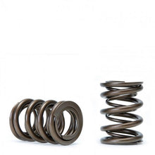 Load image into Gallery viewer, Skunk2 Tuner Series Honda/Acura (H22A/F20B) DOHC VTEC Alpha Valve Spring Set (Dual Springs) - Corvette Realm