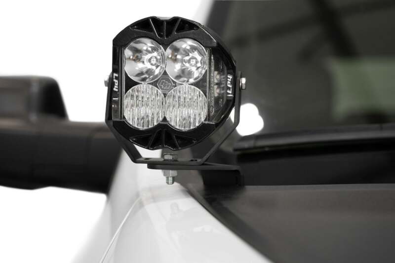 Photo - Close Up