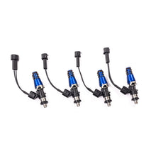 Load image into Gallery viewer, Injector Dynamics ID1050-XDS Injectors Miata 11mm (Blue) Adaptors -204 Lower Cushions (Set of 4)