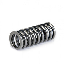 Load image into Gallery viewer, Skunk2 Alpha Series Honda D Series VTEC Valve Spring Set - Corvette Realm