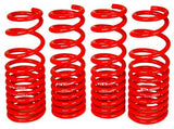 BLOX Racing 06-11 Honda Civic Lowering Springs