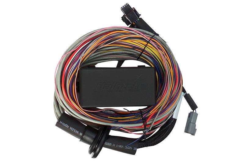 Haltech Elite 750 8ft Premium Universal Wire-In Harness - Corvette Realm