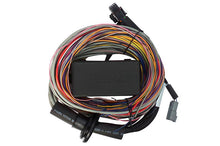 Load image into Gallery viewer, Haltech Elite 750 8ft Premium Universal Wire-In Harness - Corvette Realm