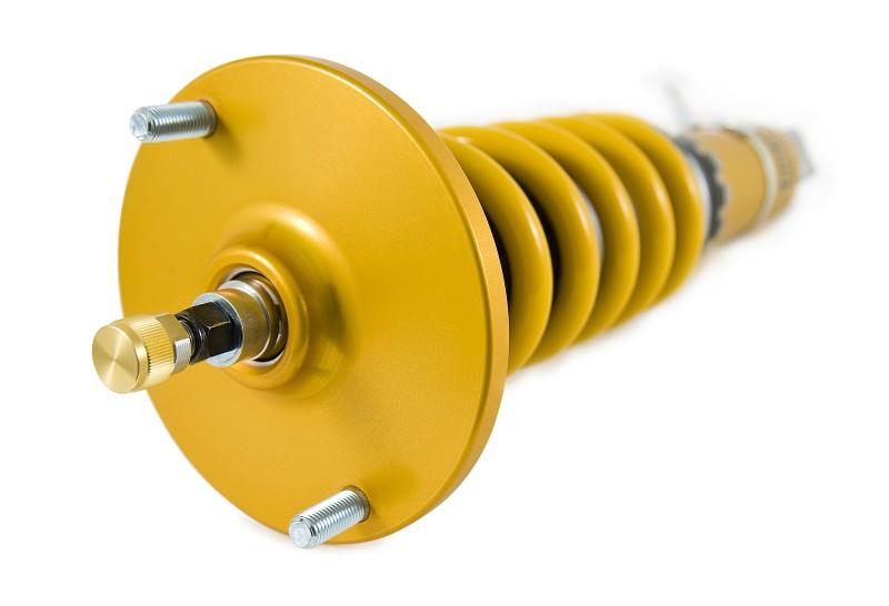 Ohlins 95-02 Nissan Skyline GT-R (R33/R34) Road & Track Coilover System - Corvette Realm