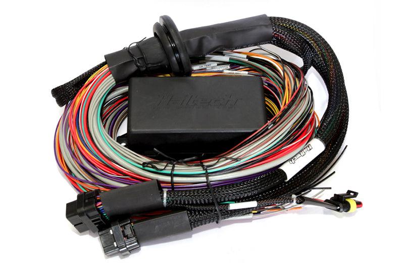 Haltech Elite 2500 & 2500 T 8ft Premium Universal Wire-In Harness - Corvette Realm