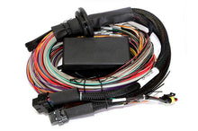 Load image into Gallery viewer, Haltech Elite 2500 &amp; 2500 T 8ft Premium Universal Wire-In Harness - Corvette Realm