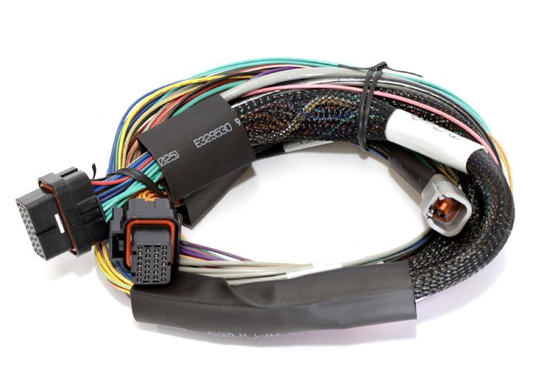 Haltech Elite 2500 8ft Basic Universal Wire-In Harness (Excl Relays or Fuses) - Corvette Realm