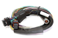 Load image into Gallery viewer, Haltech Elite 2500 8ft Basic Universal Wire-In Harness (Excl Relays or Fuses) - Corvette Realm