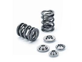 Supertech BMW S42/M42/M50/S50/M52/M54 Dual Valve Spring Kit - Corvette Realm