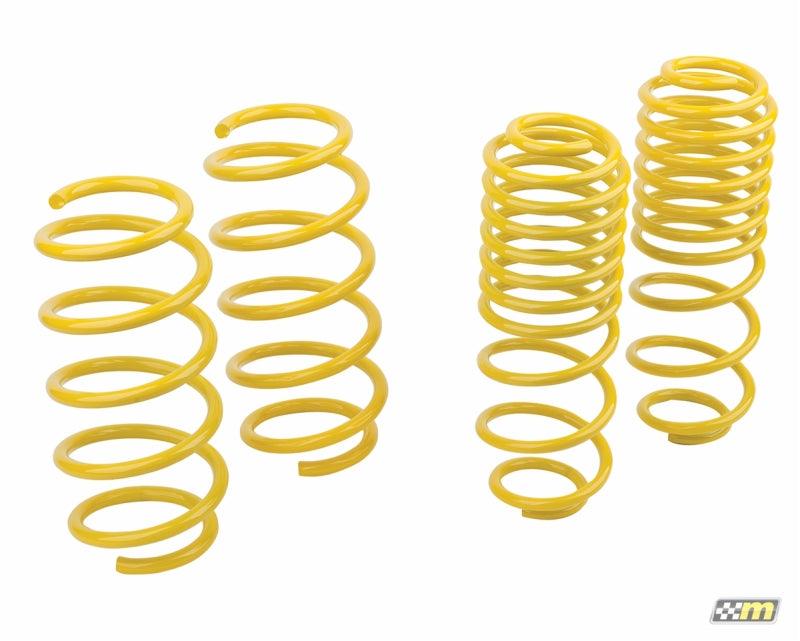 mountune Sport Spring Set 2014-2015 Fiesta ST - Corvette Realm