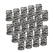Load image into Gallery viewer, Supertech BMW M50/M52/S50/S52 Dual Valve Spring - Set of 24 - Corvette Realm