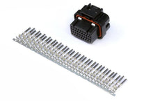 Load image into Gallery viewer, Haltech AMP 34 Pin 4 Row 3 Keyway Superseal Connector Plug &amp; Pins - Corvette Realm