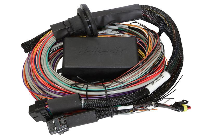 Haltech Elite 1500 8ft Premium Universal Wire-In Harness - Corvette Realm