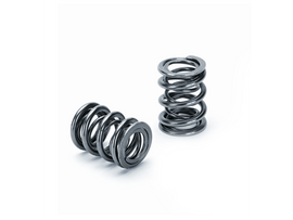 Supertech Honda B16A/B17A/B18C Dual Valve Spring - Set of 16 - Corvette Realm