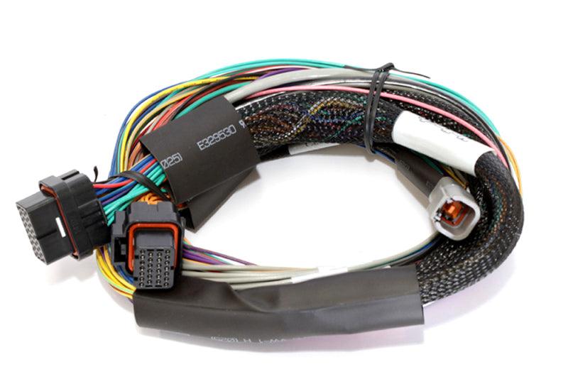 Haltech Elite 2500 Basic Universal Wire-In Harness ECU Kit - Corvette Realm