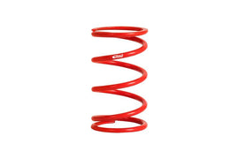 Eibach ERS 10.00 in. Length x 2.50 in. ID Coil-Over Spring - Corvette Realm