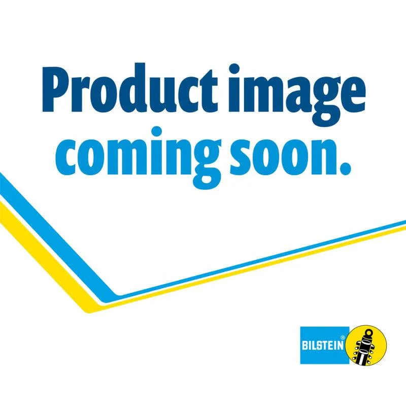 Bilstein B6 99-04/06-13 Ford F53 Steering Damper - Corvette Realm
