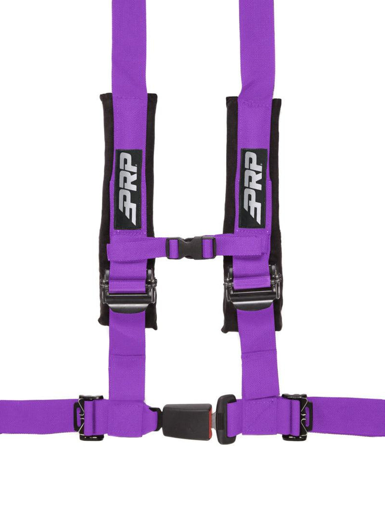 PRP 4.2 Harness- Purple - Corvette Realm